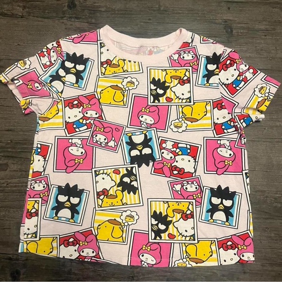 Sanrio Tops - Sanrio Multi-Character Hello Kitty Pink Graphic Short Sleeve Tee
